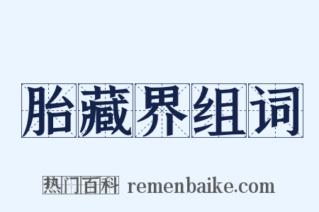 胎藏界组词是什么意思的图片